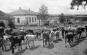 Khung cảnh các làng quê Ukraine thời Liên Xô thập niên 1950
